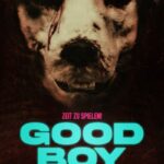 Good-Boy-2022-Movie